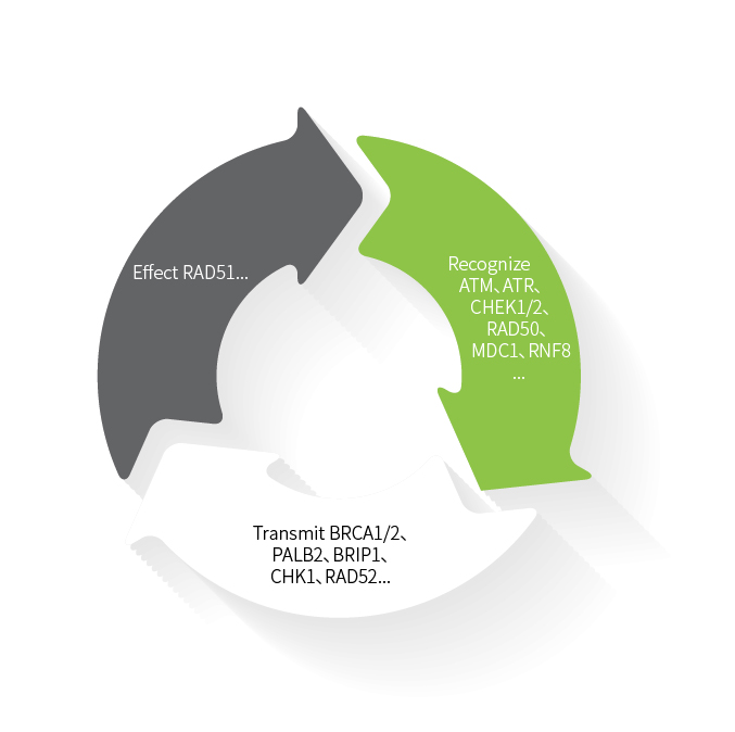 8bb3f447-78b3-4a74-a269-cee0044aacf9